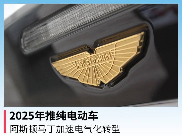 2025ƶ綯 ˹ٵת
